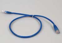 CAT5e 350MHz UTP Cable 2 ft.