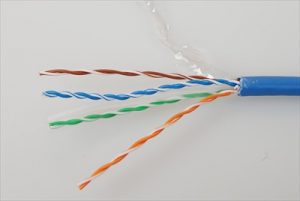 Network Cable