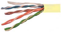 Network Cable