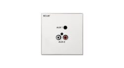 connection wall plate with 1 x stereo minijack and 2 x RCA connectors.