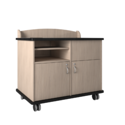 Multi-Media Podium With Double Compartment – 10 RU