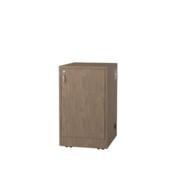 Armoire AV mobile – 12 RU