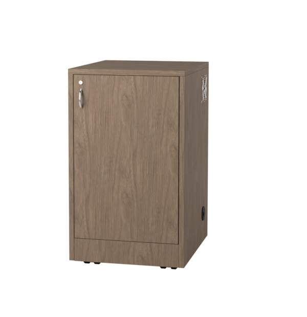 Mobile Av Cabinet - 12 RU