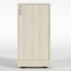 Armoire AV mobile – 20 RU