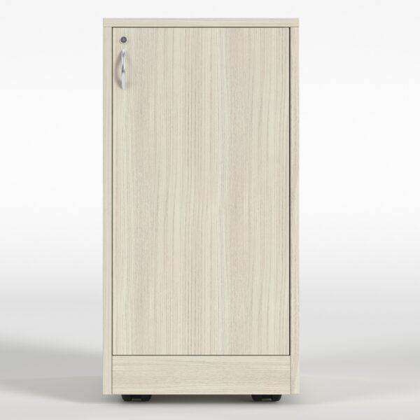 Armoire AV mobile - 20 RU